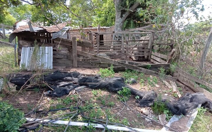 Abigeatários furtam em propriedade rural no interior de São Sepé