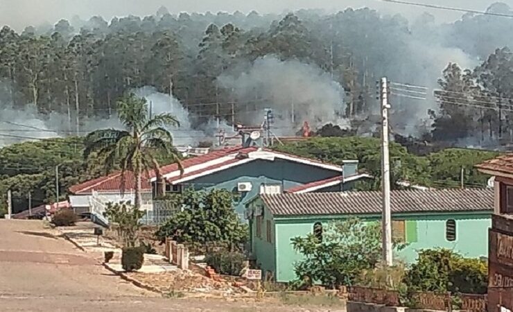 Fogo consome em torno de 2 hectares de vegetação  ás margens da BR-392 em São Sepé