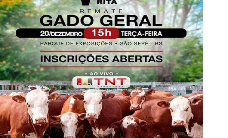 Santa Rita Remates informa: Remate de Gado Geral