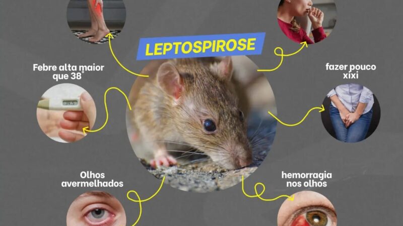 A Prefeitura de São Sepé/RS alerta sobre os perigos da leptospirose