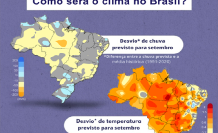 Chuvas amenizam efeitos das queimadas – São Sepé terá sol e temperaturas amenas nos próximos dias conforme o INMET