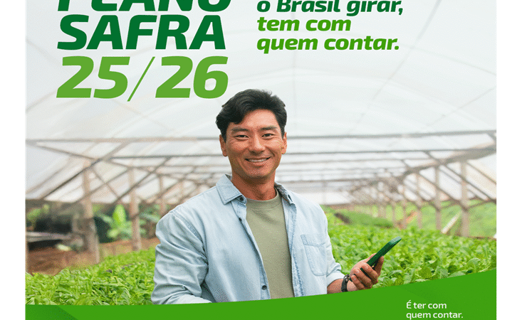 Plano Safra 2025/2026 no Sicredi: Crédito para fortalecer o campo em todas as etapas da produção.