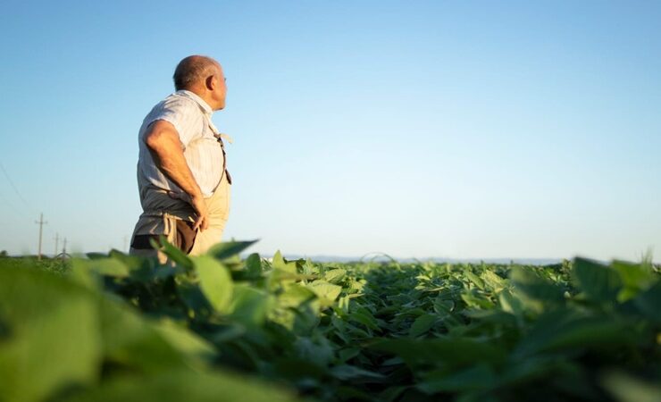 Rio Grande do Sul tem cerca de 50 vagas temporárias abertas para agente de campo com remuneração total superior a R$ 2,9 mil