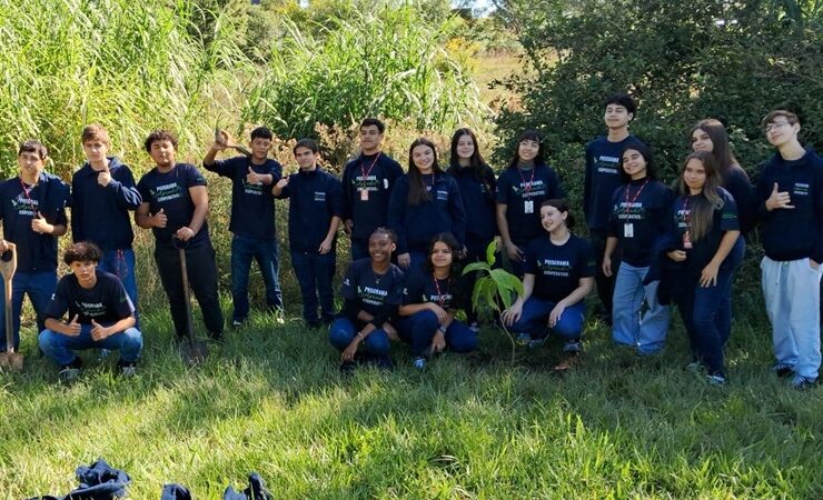 Ação ambiental promove plantio de mudas no Parque Ambiental