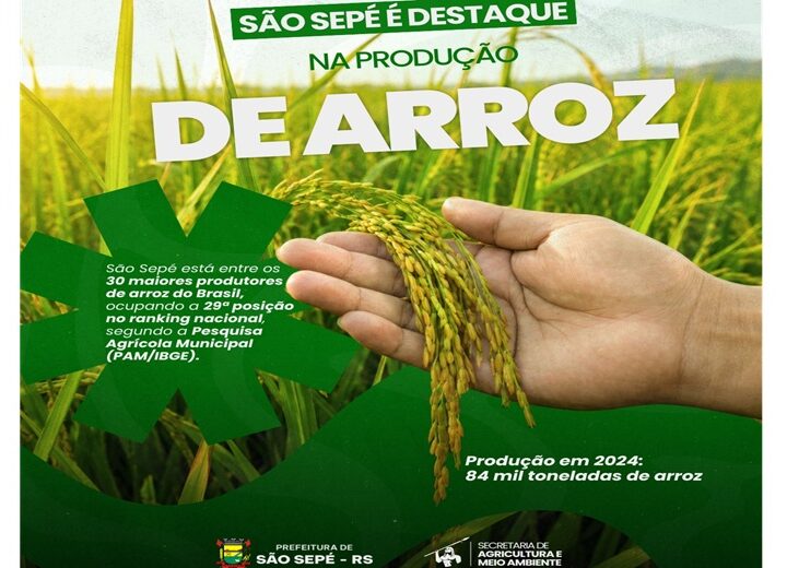 São Sepé está entre os 30 maiores produtores de arroz do Brasil