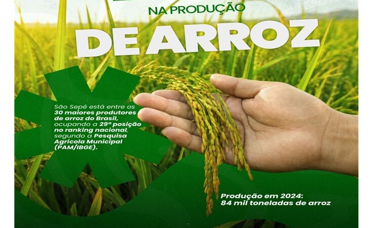 São Sepé está entre os 30 maiores produtores de arroz do Brasil