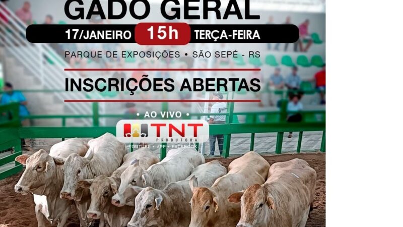 Santa Rita Remates: Gado Geral