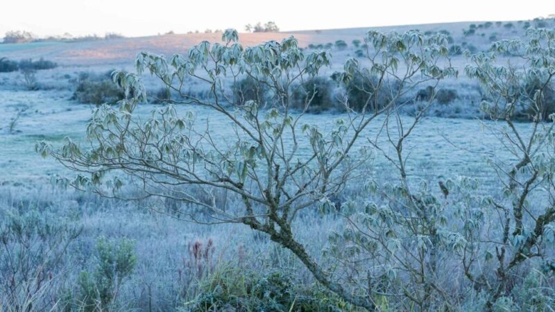 Frio histórico no Brasil alcança regiões de Norte a Sul