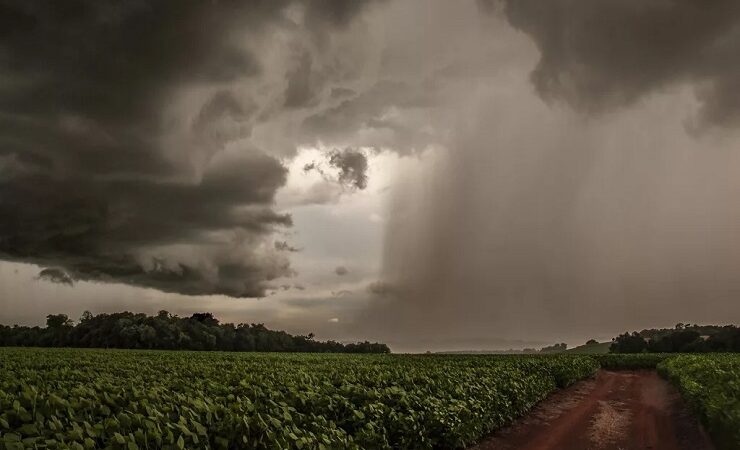 Alerta de tempestade: RS em estado de atenção com possibilidade de chuvas fortes e vento intenso