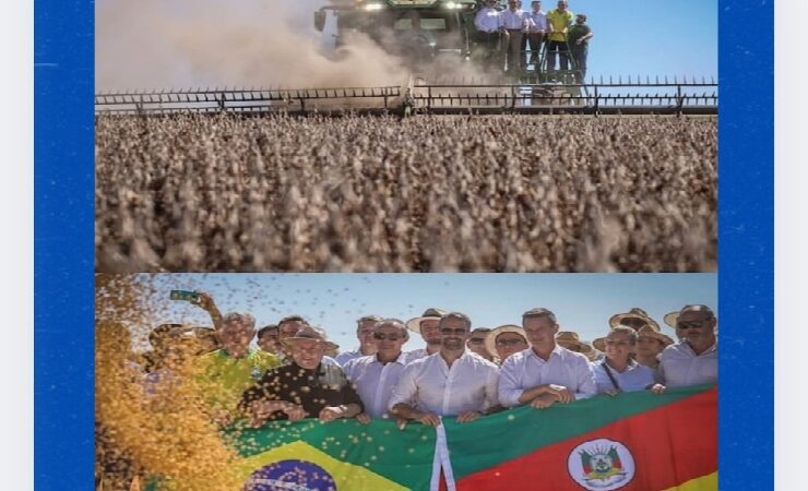 Colheita da soja no RS: superando desafios e reforçando o compromisso com a força e a resiliência do produtor gaúcho frente ao clima