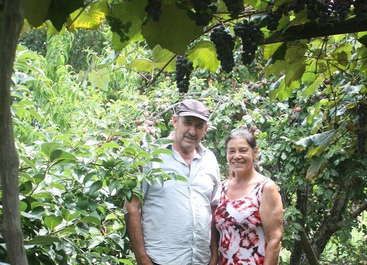 Festa Regional da Uva 2026 celebra união e desenvolvimento em São Sepé