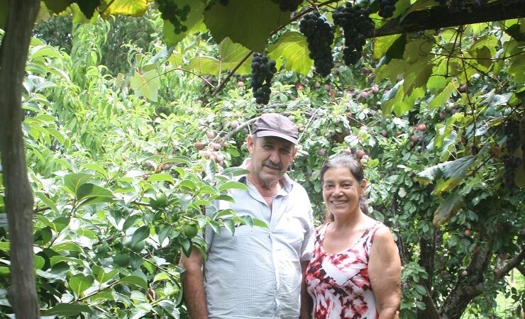 Festa Regional da Uva 2026 celebra união e desenvolvimento em São Sepé