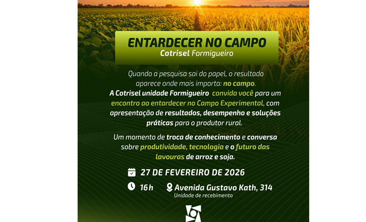 Cotrisel Formigueiro promove o evento “Entardecer no Campo” com apresentação de resultados do cultivo de soja e arroz