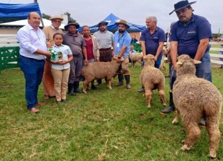 Concurso em São Sepé reúne elite das borregas e aposta na ovinocultura como alternativa econômica no RS