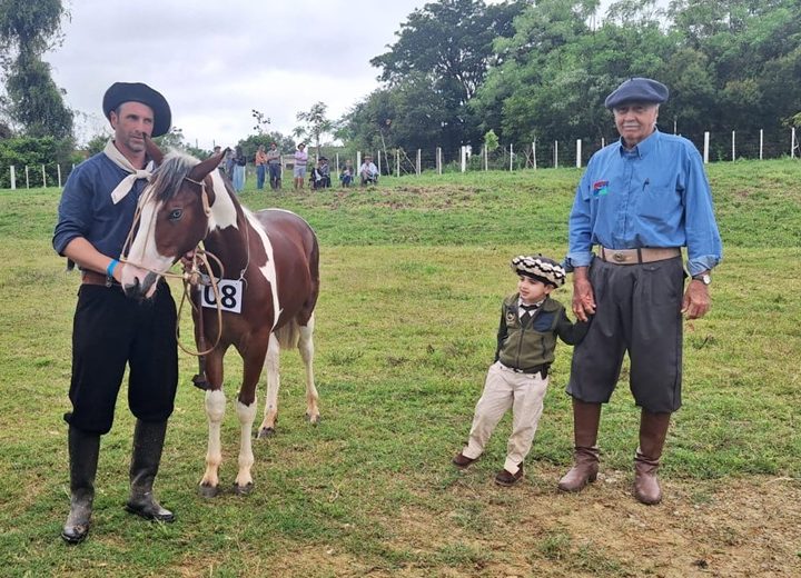 Final da Prova de Morfologia do Cavalo Crioulo destaca qualidade genética dos animais na 51ª Expofeira de São Sepé