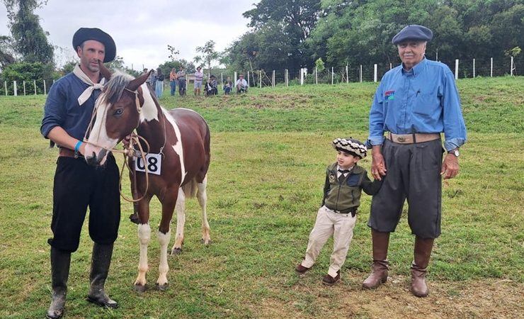 Final da Prova de Morfologia do Cavalo Crioulo destaca qualidade genética dos animais na 51ª Expofeira de São Sepé