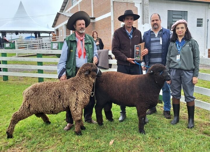Julgamento e entrega de premiações de ovinos movimentam a 51ª Expofeira de São Sepé
